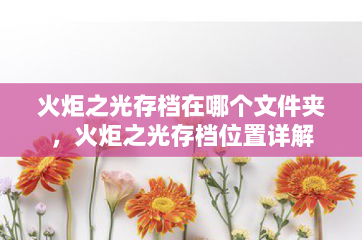 火炬之光存档在哪个文件夹，火炬之光存档位置详解