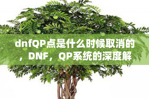 dnfQP点是什么时候取消的，DNF，QP系统的深度解析与提升策略