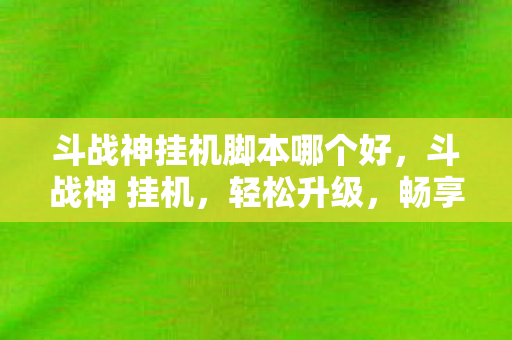 斗战神挂机脚本哪个好，斗战神 挂机，轻松升级，畅享游戏乐趣