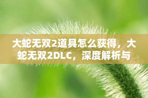 大蛇无双2道具怎么获得，大蛇无双2DLC，深度解析与游戏新体验