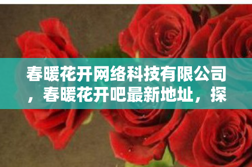 春暖花开网络科技有限公司，春暖花开吧最新地址，探索虚拟世界的奇妙之旅