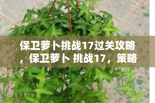 保卫萝卜挑战17过关攻略，保卫萝卜 挑战17，策略与智慧的双重考验