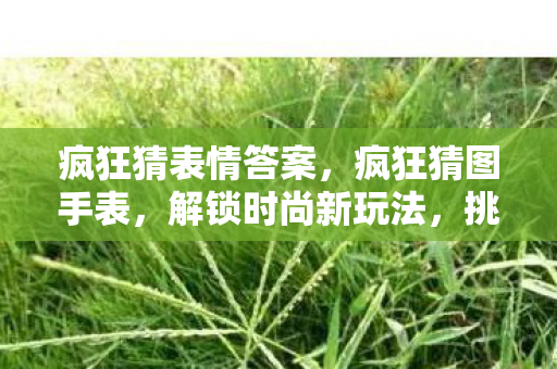 疯狂猜表情答案，疯狂猜图手表，解锁时尚新玩法，挑战你的想象力！