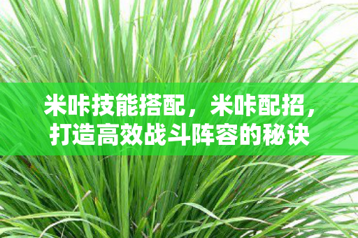 米咔技能搭配，米咔配招，打造高效战斗阵容的秘诀
