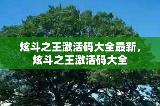 炫斗之王激活码大全最新，炫斗之王激活码大全