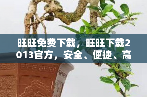 旺旺免费下载，旺旺下载2013官方，安全、便捷、高效的官方下载体验