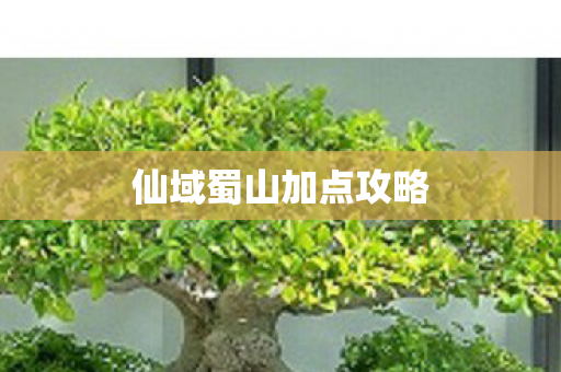 仙域蜀山加点攻略