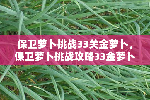 保卫萝卜挑战33关金萝卜，保卫萝卜挑战攻略33金萝卜