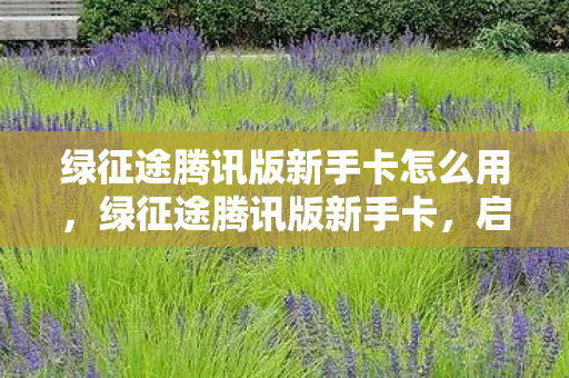绿征途腾讯版新手卡怎么用,绿征途腾讯版新手卡,启程新征途,尽享专属福利 绿征途腾讯版新手卡怎么用,绿征途腾讯版新手卡,启程新征途,尽享专属福利