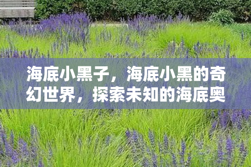 海底小黑子，海底小黑的奇幻世界，探索未知的海底奥秘