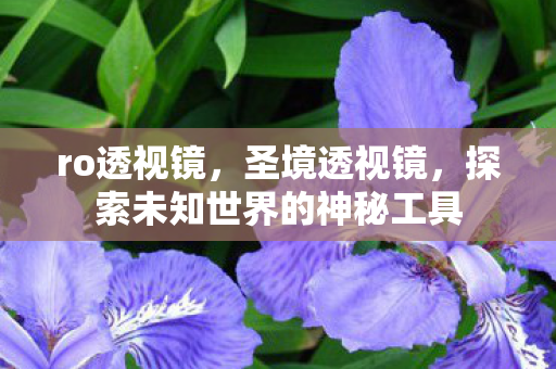 ro透视镜,圣境透视镜,探索未知世界的神秘工具 ro透视镜,圣境透视镜,探索未知世界的神秘工具