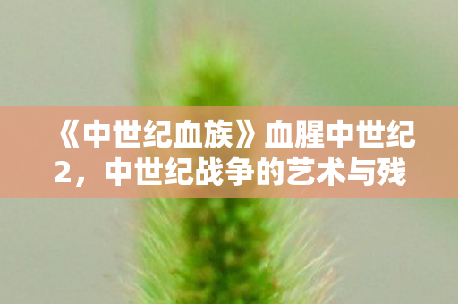 《中世纪血族》血腥中世纪2，中世纪战争的艺术与残酷