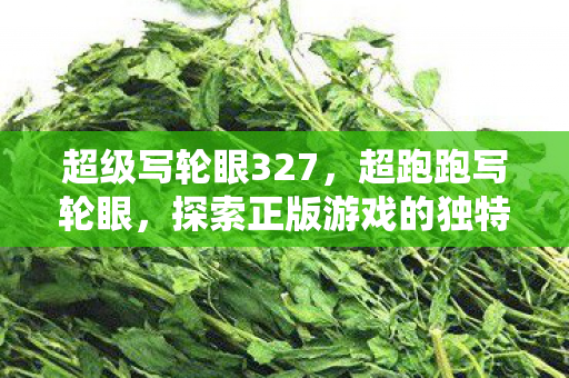 超级写轮眼327，超跑跑写轮眼，探索正版游戏的独特魅力与无限可能