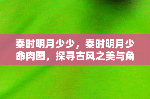 秦时明月少少，秦时明月少命肉图，探寻古风之美与角色魅力