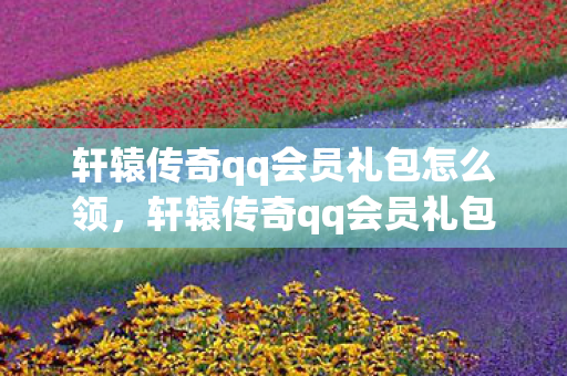 轩辕传奇qq会员礼包怎么领，轩辕传奇qq会员礼包，解锁专属福利，畅享游戏乐趣