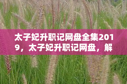 太子妃升职记网盘全集2019，太子妃升职记网盘，解锁精彩剧情，尽享高清资源