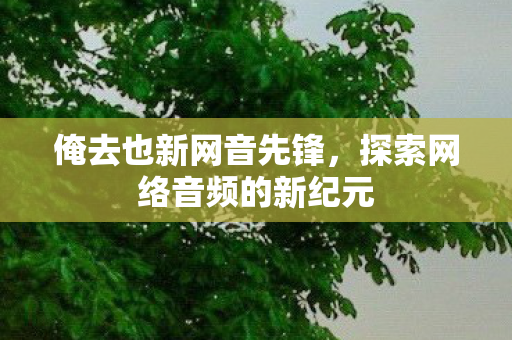 俺去也新网音先锋，探索网络音频的新纪元