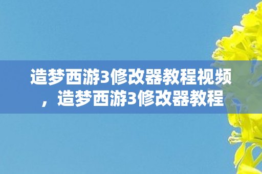 造梦西游3修改器教程视频，造梦西游3修改器教程