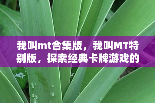 我叫mt合集版，我叫MT特别版，探索经典卡牌游戏的魅力与变迁