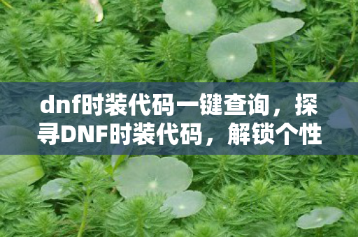 dnf时装代码一键查询，探寻DNF时装代码，解锁个性装扮的奥秘