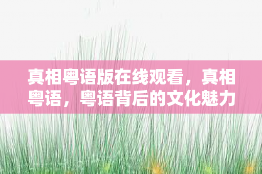 真相粤语版在线观看，真相粤语，粤语背后的文化魅力与传承