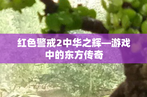 红色警戒2中华之辉—游戏中的东方传奇 红色警戒2中华之辉—游戏中的东方传奇