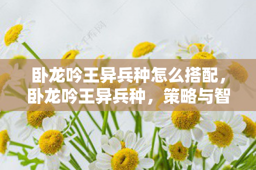 卧龙吟王异兵种怎么搭配，卧龙吟王异兵种，策略与智慧的碰撞