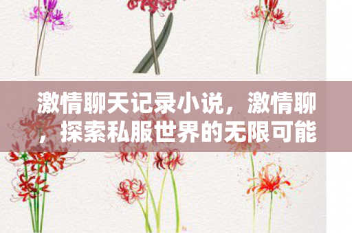 激情聊天记录小说，激情聊，探索私服世界的无限可能