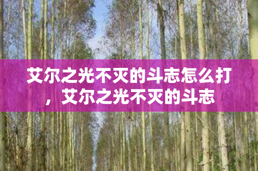 艾尔之光不灭的斗志怎么打，艾尔之光不灭的斗志