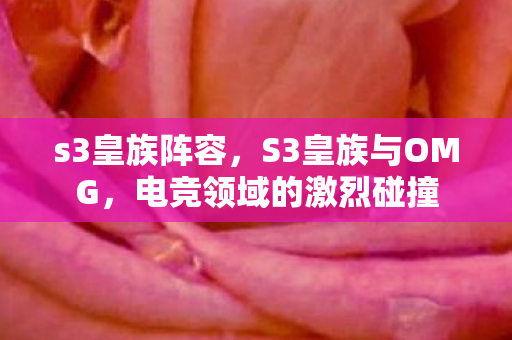 s3皇族阵容，S3皇族与OMG，电竞领域的激烈碰撞