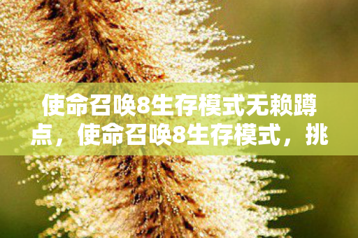 使命召唤8生存模式无赖蹲点，使命召唤8生存模式，挑战极限，探索未知