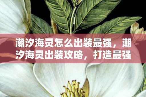 潮汐海灵怎么出装最强，潮汐海灵出装攻略，打造最强海洋之灵的装备组合