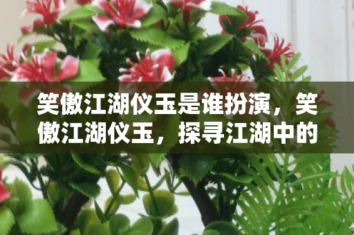 笑傲江湖仪玉是谁扮演，笑傲江湖仪玉，探寻江湖中的神秘宝物