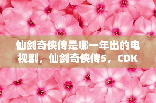 仙剑奇侠传是哪一年出的电视剧，仙剑奇侠传5，CDKEY的神秘世界