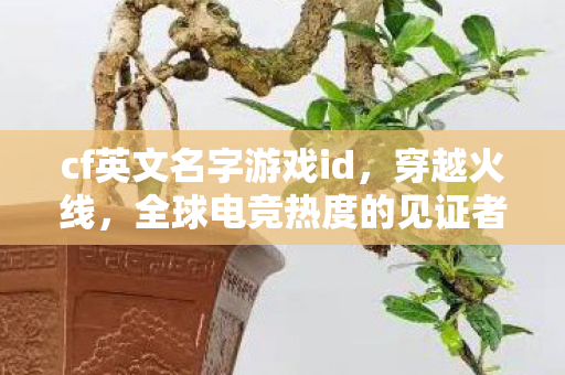 cf英文名字游戏id，穿越火线，全球电竞热度的见证者