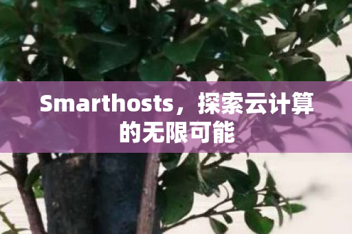 Smarthosts，探索云计算的无限可能