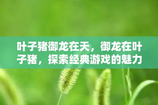 叶子猪御龙在天，御龙在叶子猪，探索经典游戏的魅力与传承