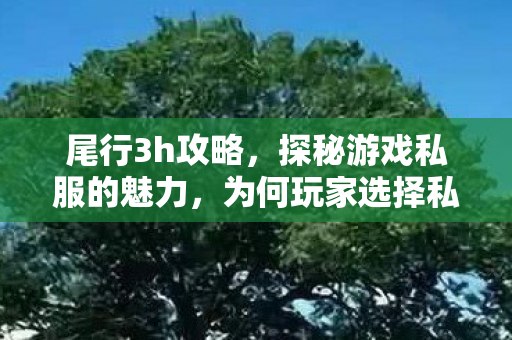 尾行3h攻略，探秘游戏私服的魅力，为何玩家选择私服？