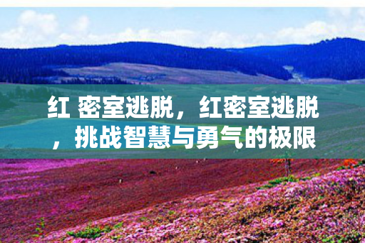 红 密室逃脱，红密室逃脱，挑战智慧与勇气的极限