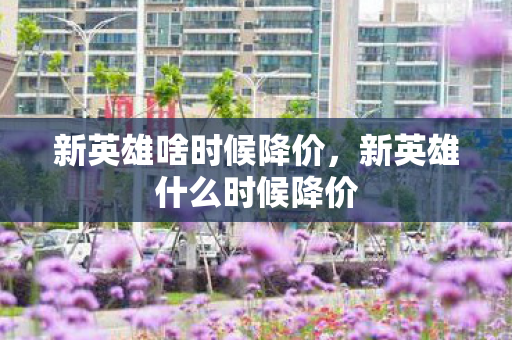 新英雄啥时候降价，新英雄什么时候降价