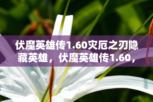 伏魔英雄传1.60灾厄之刃隐藏英雄，伏魔英雄传1.60，重温经典，探索未知