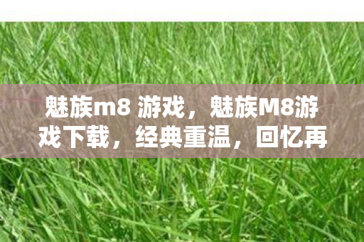 魅族m8 游戏，魅族M8游戏下载，经典重温，回忆再现