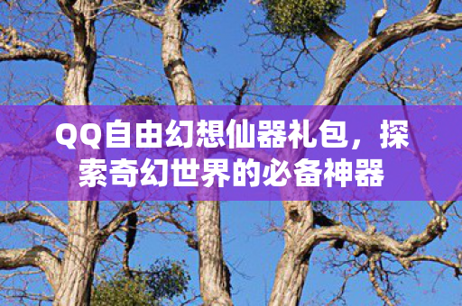 QQ自由幻想仙器礼包，探索奇幻世界的必备神器