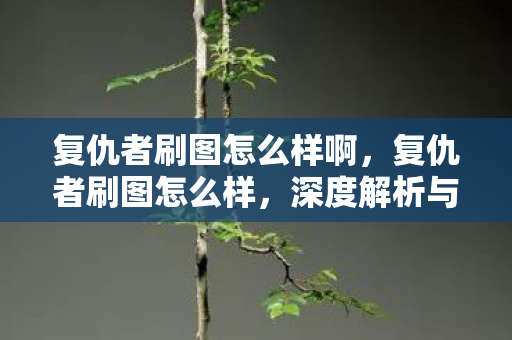 复仇者刷图怎么样啊，复仇者刷图怎么样，深度解析与实战心得