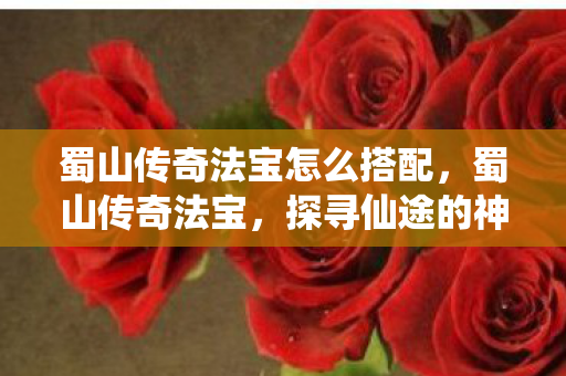 蜀山传奇法宝怎么搭配,蜀山传奇法宝,探寻仙途的神秘助力 蜀山传奇法宝怎么搭配,蜀山传奇法宝,探寻仙途的神秘助力