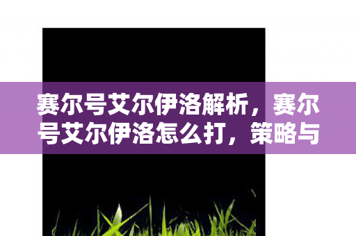 赛尔号艾尔伊洛解析，赛尔号艾尔伊洛怎么打，策略与技巧详解