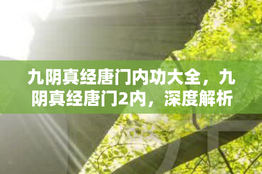 九阴真经唐门内功大全，九阴真经唐门2内，深度解析唐门内功的奥秘