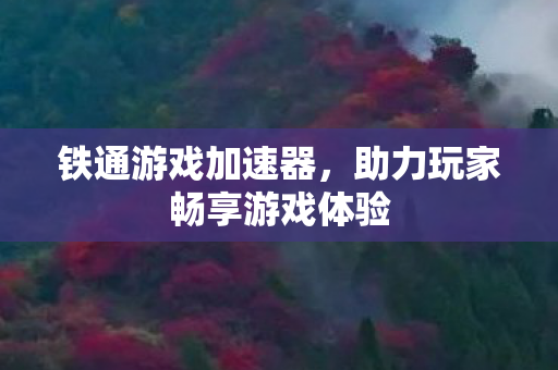 铁通游戏加速器，助力玩家畅享游戏体验