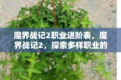 魔界战记2职业进阶表，魔界战记2，探索多样职业的魅力