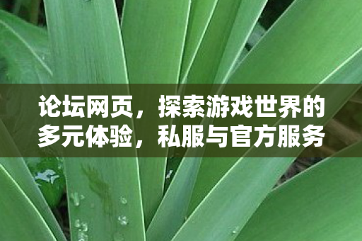 论坛网页，探索游戏世界的多元体验，私服与官方服务器的异同